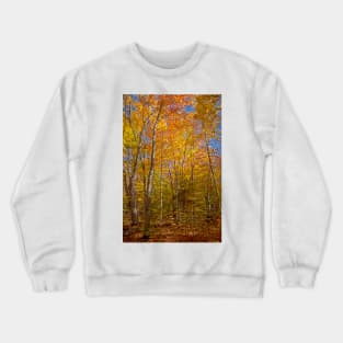 Fall in the Forest Crewneck Sweatshirt